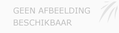 Afbeelding › 't dolfijntje